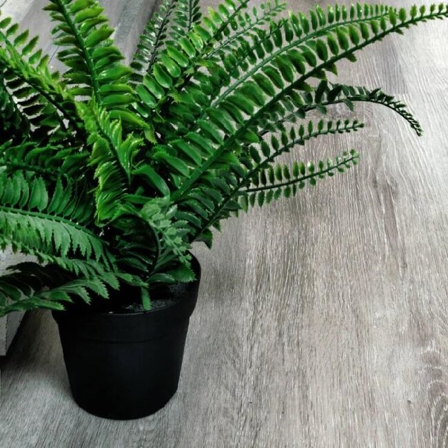 Плитка SPC Alpine Floor Classic Ясень Серый