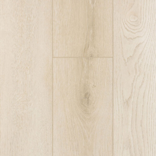 SPC ламинат FirstFloor Европейский натуральный дуб