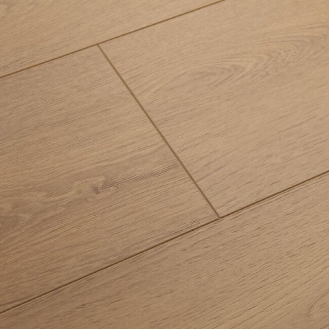 Ламинат Damy Floor Tradition DFL-105st Дуб Королевский Ламинат Damy Floor Tradition DFL-105st Дуб Королевский