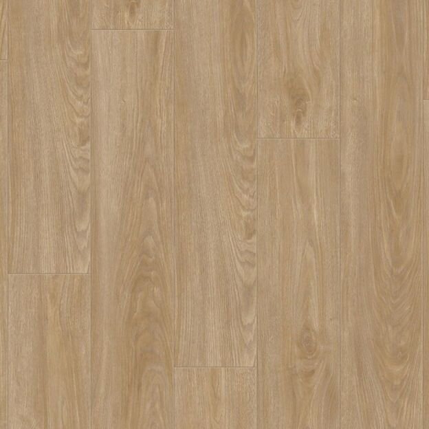 Ламинат My floor Дуб Жирона Ламинат My floor Дуб Жирона