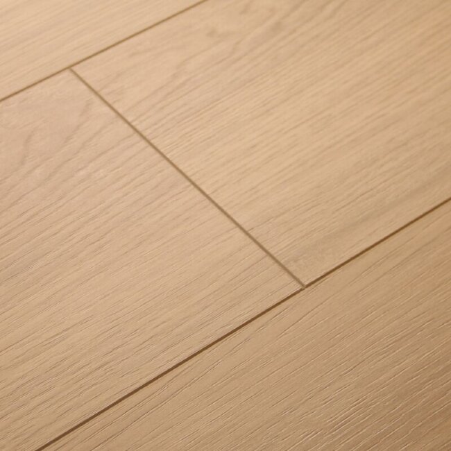 Ламинат Damy Floor Tradition DFL-115st Дуб Апеннинский Ламинат Damy Floor Tradition DFL-115st Дуб Апеннинский