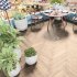 SPC ламинат Alpine Floor Parquet Premium ECO 19-10 Макадамия