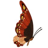 Декор художественный Альянс ХД 115 Декор художественный Альянс ХД 115