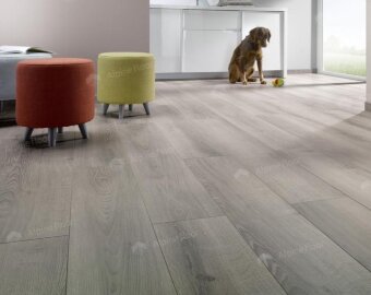 Ламинат Homflor Strong 437 Durban