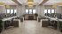 SPC ламинат Alpine Floor Карите