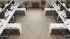SPC ламинат Alpine Floor Карите