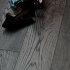 Паркет Венгерская ёлка Legend Дуб Grey Грей Character 110 мм