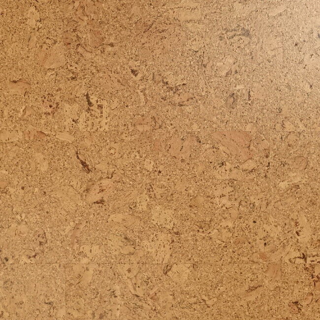 Пробковое покрытие Wicanders Cork Pure Glue Down AJ8E002 Originals Shell 600x300х4 мм Пробковое покрытие Wicanders Cork Pure Glue Down AJ8E002 Originals Shell 600x300х4 мм