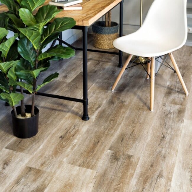 ПВХ Покрытие Alpine Floor Дуб Медовый ПВХ Покрытие Alpine Floor Дуб Медовый