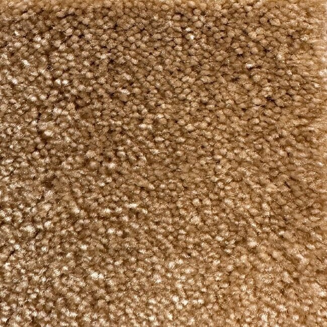 Ковролин AW Masquerade Fedone 41 Ковролин AW Masquerade Fedone 41