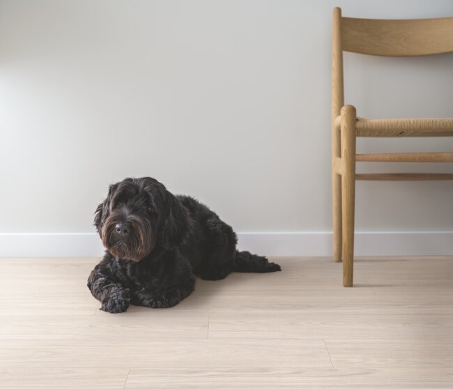 Ламинат Pergo Дуб Лагом Светло-бежевый