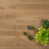 Инженерная доска Coswick T&G 1167-1809-10 Дуб Сиена Натуральная