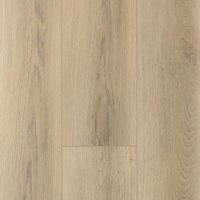 SPC ламинат FirstFloor Белый дикий лес SPC ламинат FirstFloor Белый дикий лес