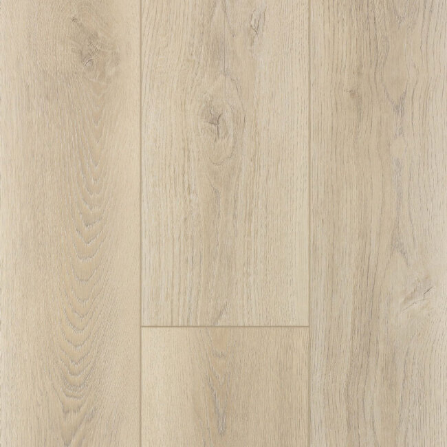 SPC ламинат FirstFloor Серый дикий лес