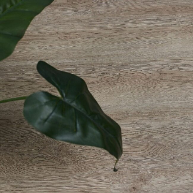 SPC ламинат Steinholz Ульрих STH024 SPC ламинат Steinholz Ульрих STH024